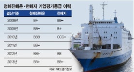[여객선 침몰참사] 청해진해운 투기등급에도 수백억 대출