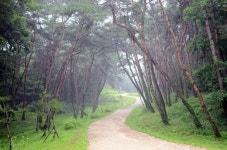 이 길을 다 걷고 나면, 희망이 보이겠지.. ‘걷기 여행길’