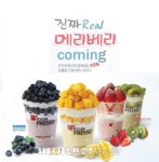 요거프레소, 메리베리, 메리망고 메리시리즈 4종  출시
