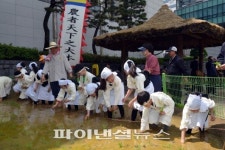농협 농업박물관 어린이 전통 모내기 체험