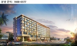 제주는 지금 ‘분양호텔 시대’.. 모슬포 일대 ‘투자 블루칩’으로 급부상