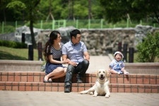 “반려견 문제 99%는 사람 탓.. 사회성 길러야”