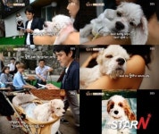 ‘동물농장’ 웅자 위한 마지막 파티 “매일 기억하고 그리워할게”