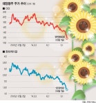 4분기 해뜰날 기다리는 태양광株