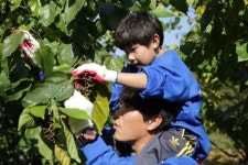 CJ컨디션헛개수, 명랑캠프로 국산 헛개 알리기