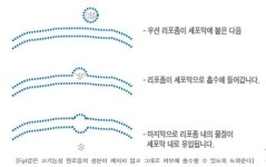 ㈜제니트리에서 개발한, 피부 속부터 생각한 고농축 멀티 솔루션 “스피니-4” 출시!