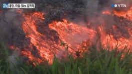 하와이 화산 용암 마을 앞까지 접근.. 주민 대피
