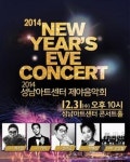 2014년 마지막 날, 제야콘서트에 불꽃놀이까지 다양