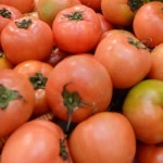 [투데이 키워드] 신진대사 높여주는 식품, 암 예방 컬러푸드, 설 연휴 열차표 예매, 고속버스 시간 조회, 삵 특징, 대승기신론소 최고본 발견