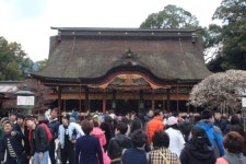 한국인이 사랑하는 일본도시 후쿠오카·유후인