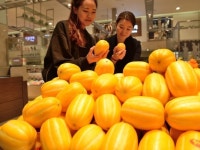 경북 성주 햇 참외 맛 보세요