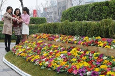 롯데百 대구점, 정문 광장 내 생태 공원 조성