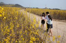 인천국제공항 하늘정원 새롭게 오픈
