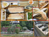 대구가창맛집 ‘꽃피는산장’ 철갑상어 메뉴 선보여.. 모임/회식 장소로 인기