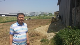 국내 젖소 개량 선구자 대원목장 박흥섭 대표 젖소 개량은 투자 개념