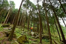 전남 장흥에서 즐기는 여유로운 힐링휴가