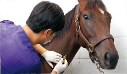 [대한민국의 빛과 소금, 공복들] (65) 농림축산검역본부 인천공항지역본부