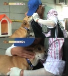 동물농장 똘이, 화재 속에서도 주인 생각… 드디어 재회 ‘감동’