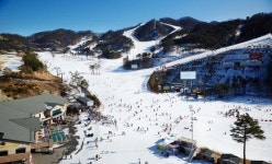[스키시즌 개막 2015~2016] 오크밸리 스키장, 유아스키스쿨.. 객실 픽업부터 렌탈·강습까지 풀케어 서비스