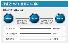 [NICE 코리아 (5)핵심 경쟁력 키워라] 기업 간 M&A 올해도 뜨겁다