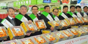 전국 농협하나로마트에서 제주 프리미엄 감귤 최대 40% 할인 판매
