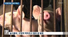 전북 김제 돼지 농가, 구제역 의심 신고...정밀검사 결과 ‘관심’