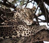 치과의사 출신 사진작가 이혁상 첫 개인전