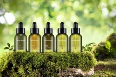 네이처리퍼블릭오리지날파워화이트닝앤라인리스앰플