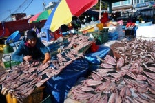 [레저메인] 펄떡거리는 삶의 현장, 전통시장
