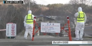 구제역, 공주 이어 천안서 구제역 의심 신고…무슨 일?