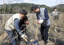 CJ대한통운 “숲 가꿔 온실가스 줄여요