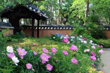 ‘한국 전통문화’ 따라 체험여행 떠나요