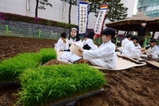 고사리손으로 만드는 농자천하지대본