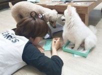 정연, 강아지 두 마리와 함께 한 일상 “언니 뭐해~~??”