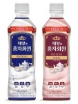 코카-콜라사, 우바산 홍찻잎을 직접 우린 로얄밀크티 ‘태양의 홍차화원’ 출시