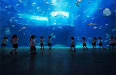 한화 아쿠아플라넷 여수, 가을 맞이 다채로운 할인이벤트