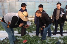 [현장르포] 경기 이천 아시아종묘 생명공학육종연구소