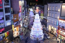 부산 광복로 화려한 빛으로 물든다...제8회 크리스마스트리축제 개최