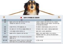 [반려동물과의 행복한 동행] 동물카페 열고 싶어도 관련 기준 없어 행정절차만 수개월