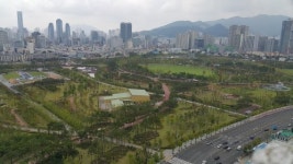 [산림청 도시숲 조성·관리 사업] 도심 속 자연 도시숲.. 기업·시민이 함께 만들고 가꾼다