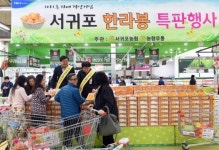 농협유통 1사1촌운동, 서귀포농협과 한라봉 판매