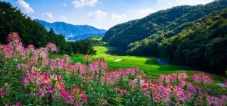 대중제로 전환한 레인보우힐스CC, 그린피 할인 등 파격 조건의 인터넷 회원 모집