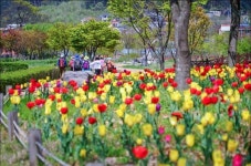 사랑하는 가족과 함께 5월의 걷기 좋은 길로 떠나볼까
