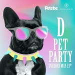 청담 디브릿지서 반려견 동반 캠페인 파티 개최