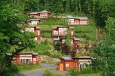 [yes+ 레저] 6월의 숲이 전하는 말 괜찮아, 네 뜻대로 해