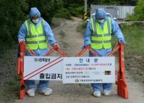 파주서도 AI…전국 확산 비상