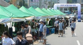 DDP 보행전용거리