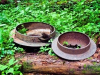 여름향기와 이야기가 속삭이는 7월의 숲속 길