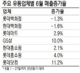 유통가 소비심리 개선은 남 얘기