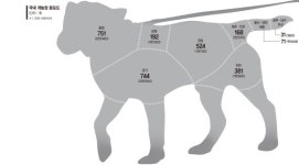 [반려동물도 가족이다] 도심에서도 개 도살, 식용견 농장만 2800여곳.. 부끄럽지 않나요?